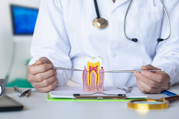 Best Emergency Treatment for Dental Infections or Abscesses in Dayton, TX